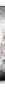 birch_bar_p3_spacer_bg.gif (1294 bytes)